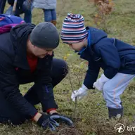 S-au plantat fapte bune în perdeaua de protecție forestieră de la Sînmihaiu Român