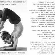 Workshop Yoga cu Cosmin Iancu - Sukshma Ashtanga YOGA
