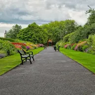 Blumen Garten