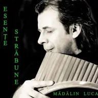 Concert Madalin Luca