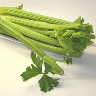 Sucul de telina - un remediu pentru simptome gastrointestinale
