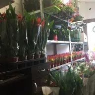 Floraria Zeppa Miroze