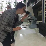 La Centrul Judeţean de Excelenţă Timiş, primăvara se numără premiile