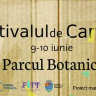 Festivalul de Carton