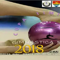 Cupa Timisoara la Gimnastica Ritmica