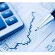 RBI Consulting