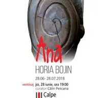 Expozitie de sculptura si desen Horia Bojin – Ana