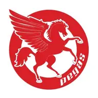 Pegas Biciclete