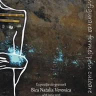 Expoziția de gravură experimentală - Bica Natalia Veronica: SILUETA. Reconfigurarea formei prin culoare