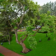 Parcul Alpinet