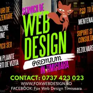 Web Design in Timisoara