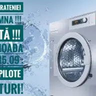 Spalare pilote si paturi in Timisoara la oferta
