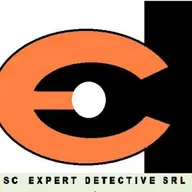 Expert Detective