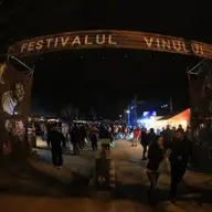 Festivalul Vinului de la Timisoara