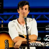 Concert Alex Stefanescu