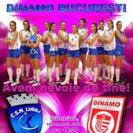CSM Lugoj - Dinamo Bucuresti