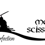 Salon Master Scissors