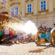 Schimbul de Garda in Timisoara