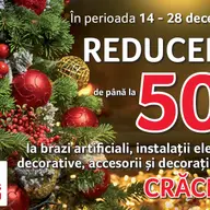 Brazi la oferta de la Selgros Timisoara