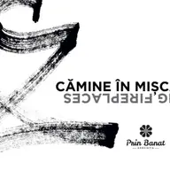 Lansarea cartii Camine in Miscare