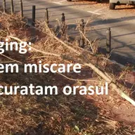 Curatenie in miscare 2 - Parcul Civic