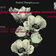 Efectul razelor gamma asupra anemonelor