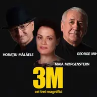 3M