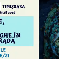 40 de Zile pentru Viata