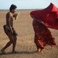 Birds of Passage