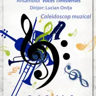 Lectie de muzica cu toate instrumentele pe scena