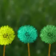 7 lucruri de care ai nevoie pentru "curățenia de primăvară". În afară de casa ta.