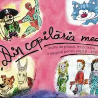 Din copilaria mea