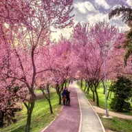 Festivalul National de Romante Roze pe Bega