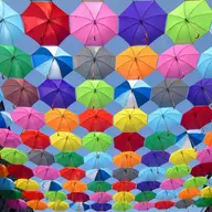 7 locuri de pus pe Instagram din județul Timiș