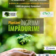Noiembrie – luna în care vom număra 1.000.000 de puieți plantați la nivel național