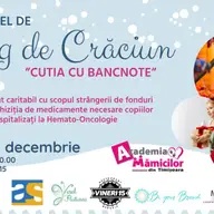 Un Altfel de Targ de Craciun