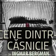 Scene dintr-o casnicie