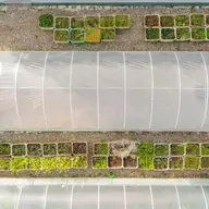 Folia pentru solar - cum trebuie sa fie aleasa, dupa criterii de interes