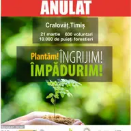 Plantam fapte bune in Romania
