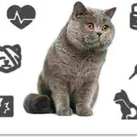 Clinica Veterinara Dr. Bolte