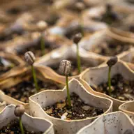 5 investiții în agricultură pe care ar trebui să le faci