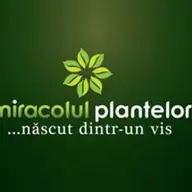 Miracolul Plantelor - Strada Vasile Alecsandri