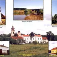 Primaria Birda