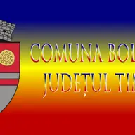 Primaria Boldur