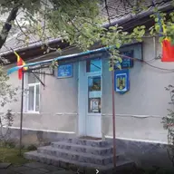Primaria Curtea
