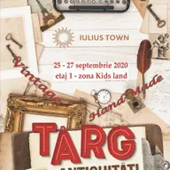 Expo Antichitati Timisoara