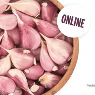Programul pentru dezvoltare comunitara LA PAS trece, prin Timisoara, in mediul online