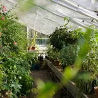 Protejarea plantelor din gradină împotriva dăunătorilor și factorilor climatici