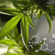 CBD - benefic în lupta cu Covid-19? ”S-a dovedit a fi remarcabil de eficient”