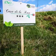 Plantăm fapte bune în România crește suprafața împădurită a țării